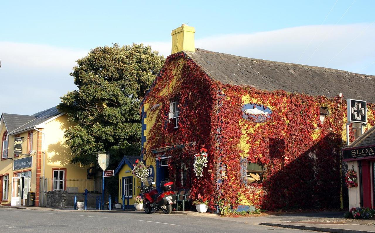 Kingfisher Lodge & Pub Castleconnell المظهر الخارجي الصورة