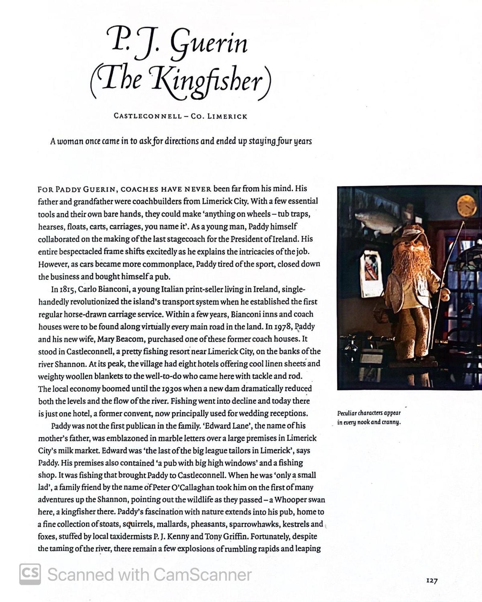 Kingfisher Lodge & Pub Castleconnell المظهر الخارجي الصورة